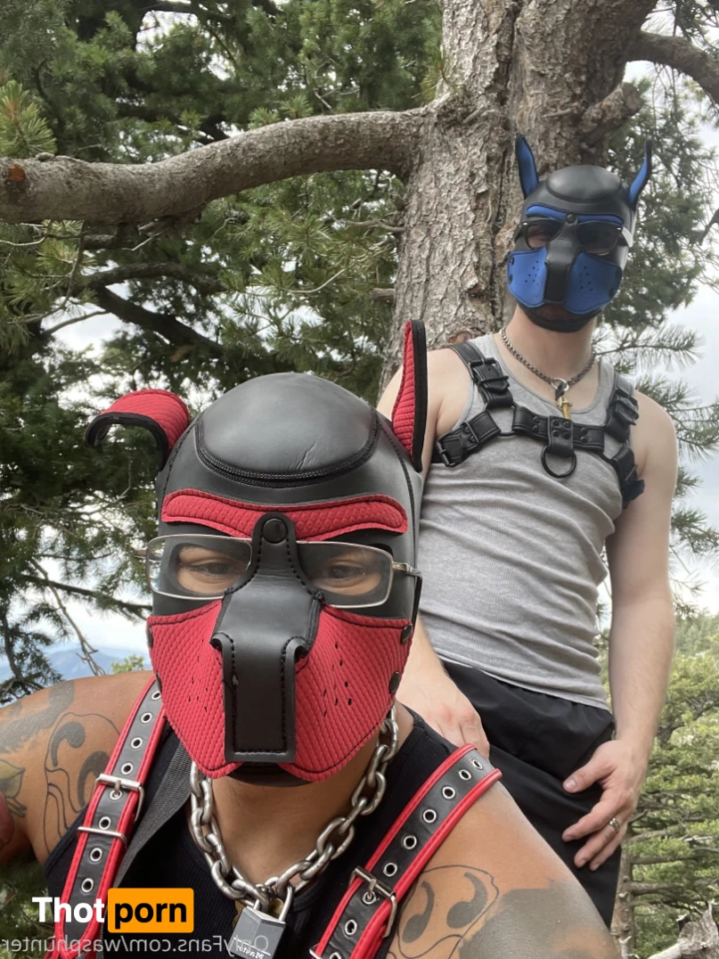 Wasphunter 🐝🥍 15008075