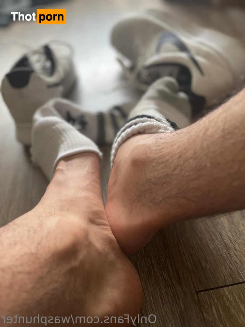 Wasphunter 🐝🥍 15011236