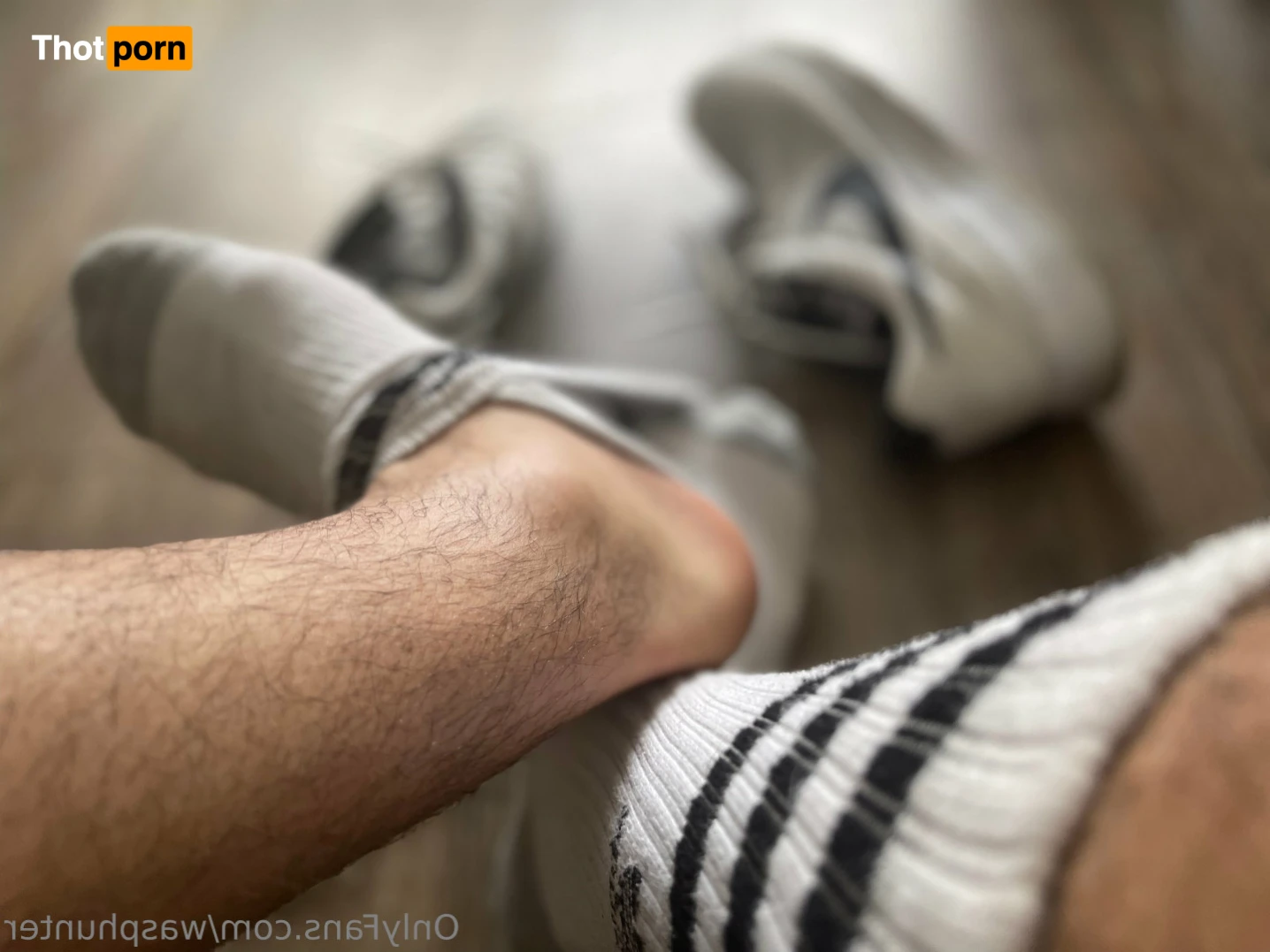 Wasphunter 🐝🥍 15012897