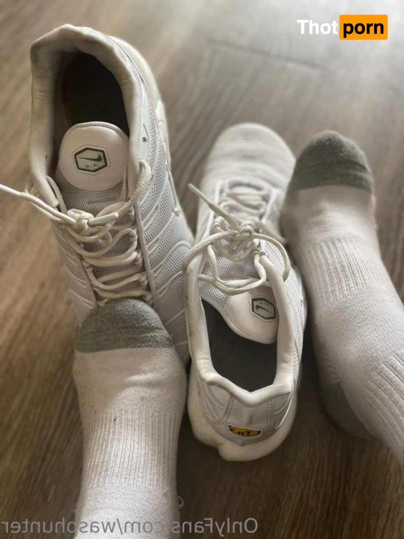 Wasphunter 🐝🥍 15039180