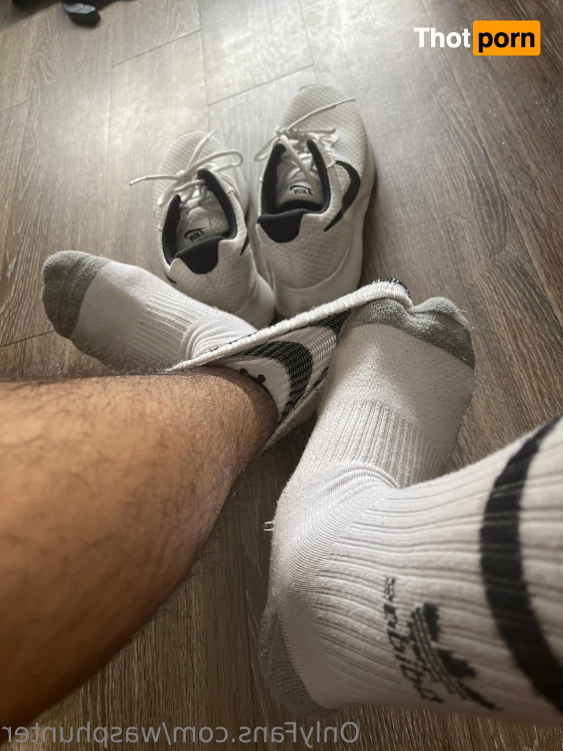 Wasphunter 🐝🥍 15062327