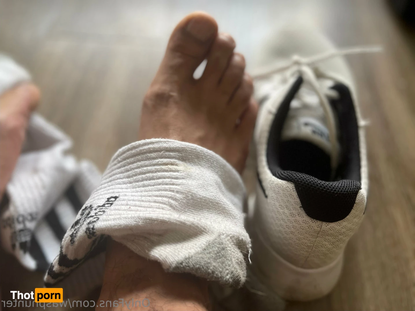 Wasphunter 🐝🥍 15080010