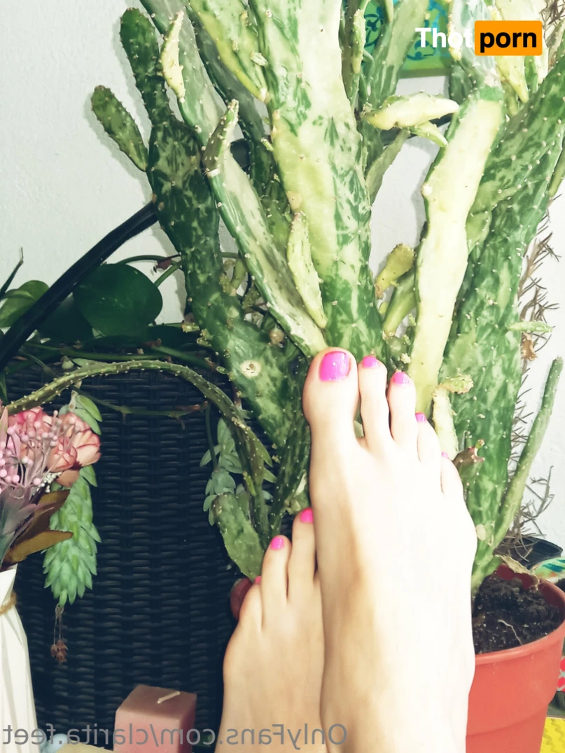 Clarita 🤍 14920138