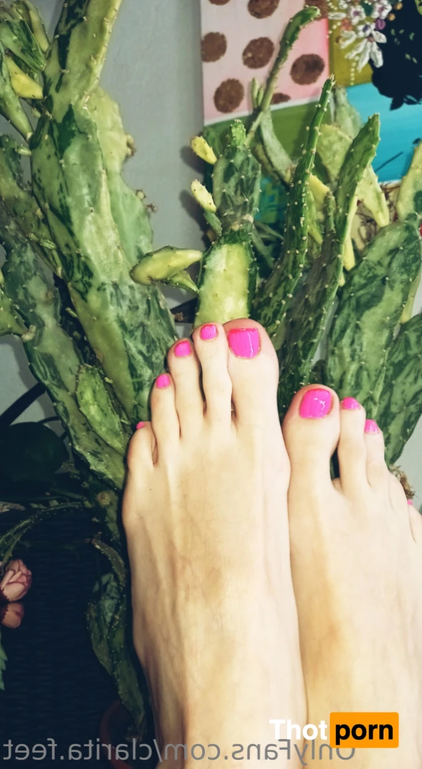 Clarita 🤍 14920380