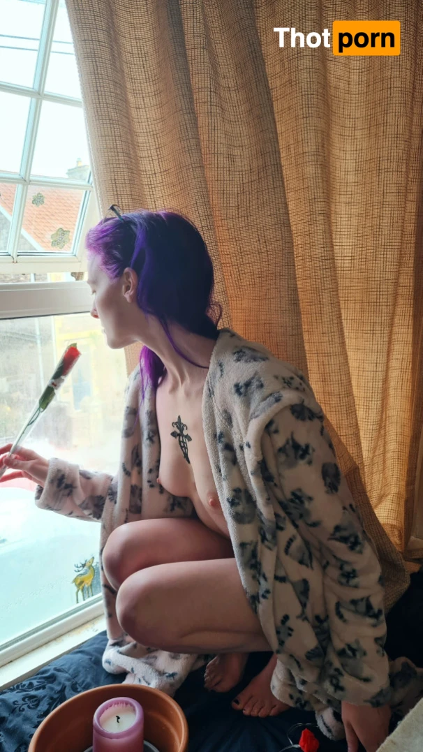 Purple Mystery 15471642