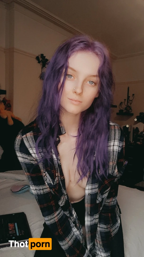 Purple Mystery 15485911