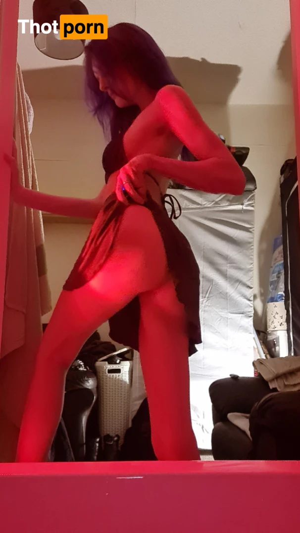 Purple Mystery 15491887