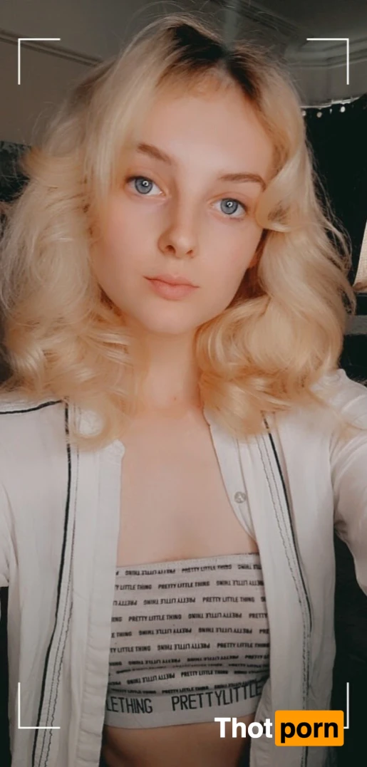 Purple Mystery 15508189