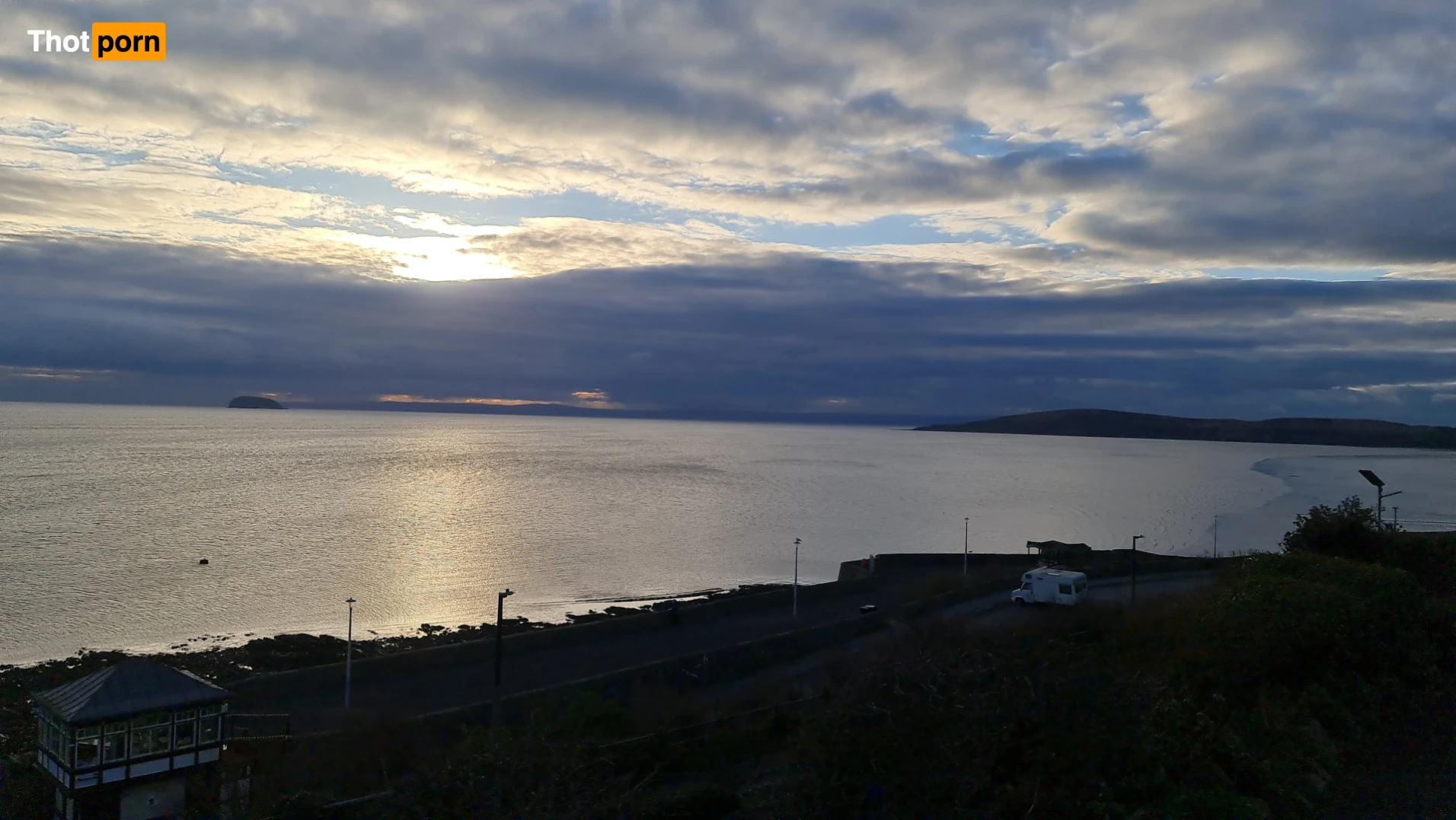 Purple Mystery 15519175