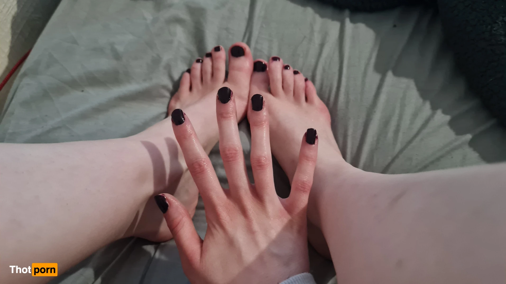 Purple Mystery 15523695