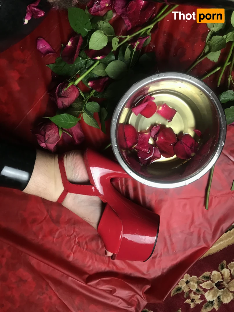 dominatrixvera2 15009836