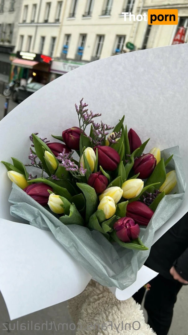 Eve Sweet Free 13967196