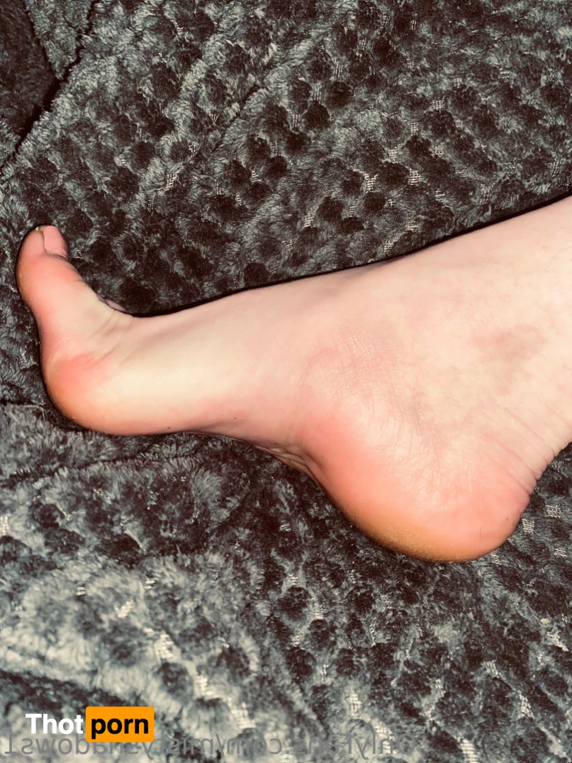 Misty Shadows 14634859