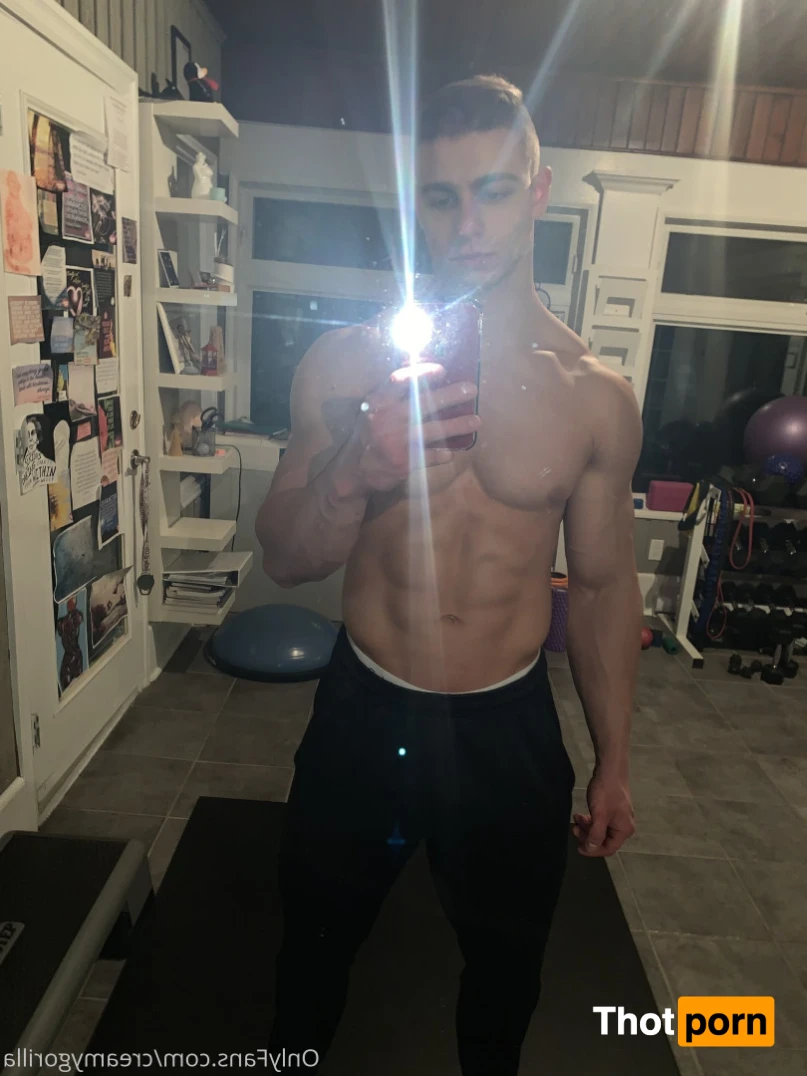 CreamyGorilla 15146540