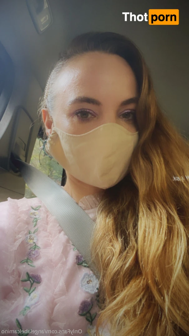 French fries 13704282