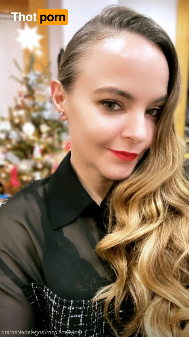 French fries 13704578