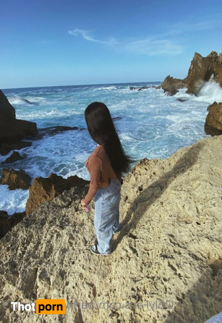 BarbieDollV 13106722