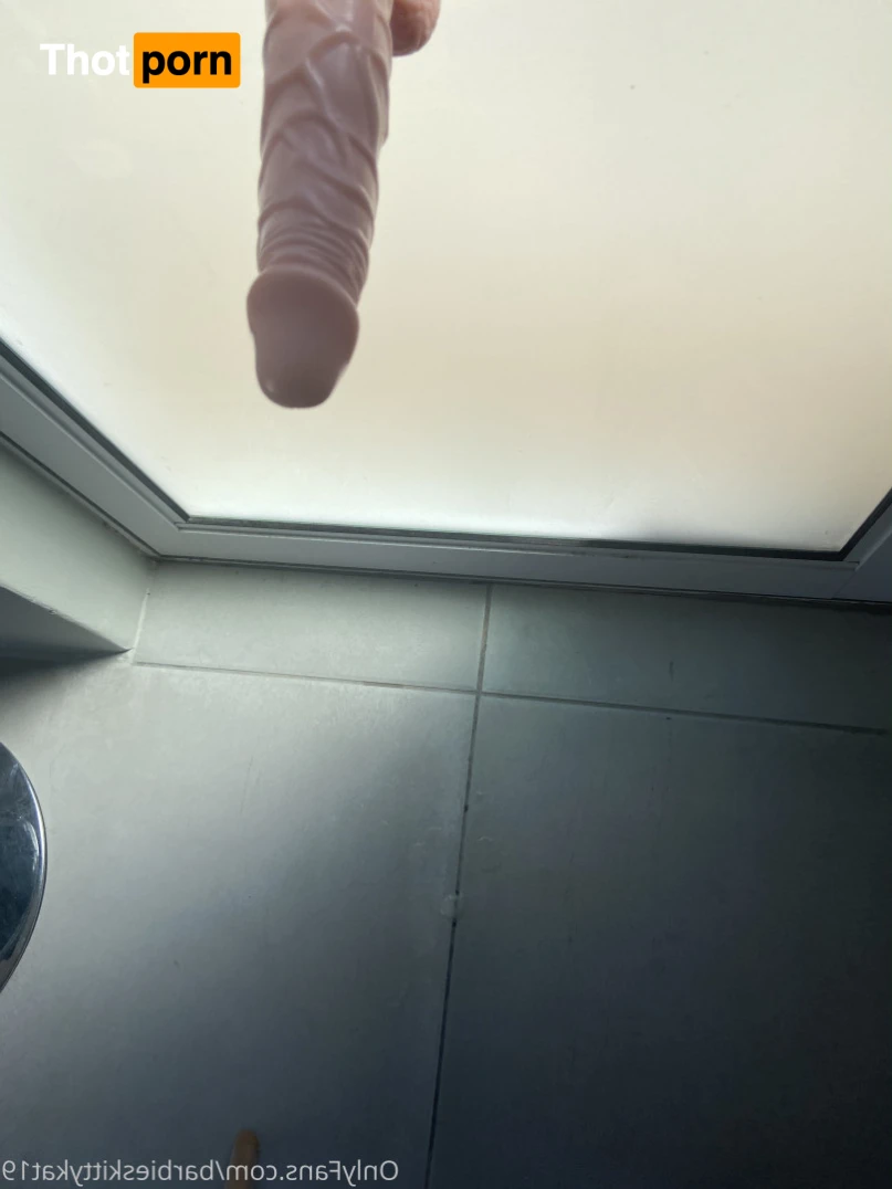 BarbieDollV 13106929