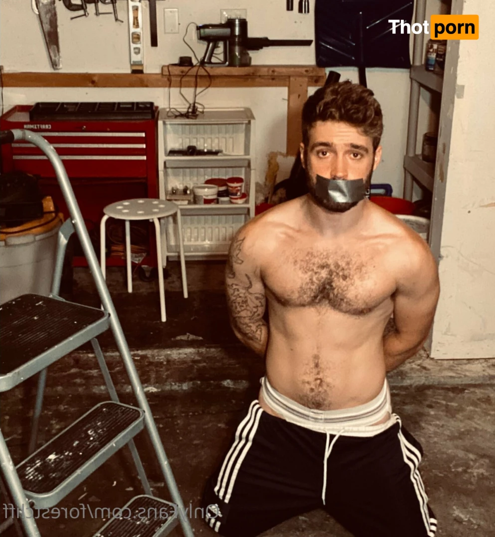 ForestCliff 13166283