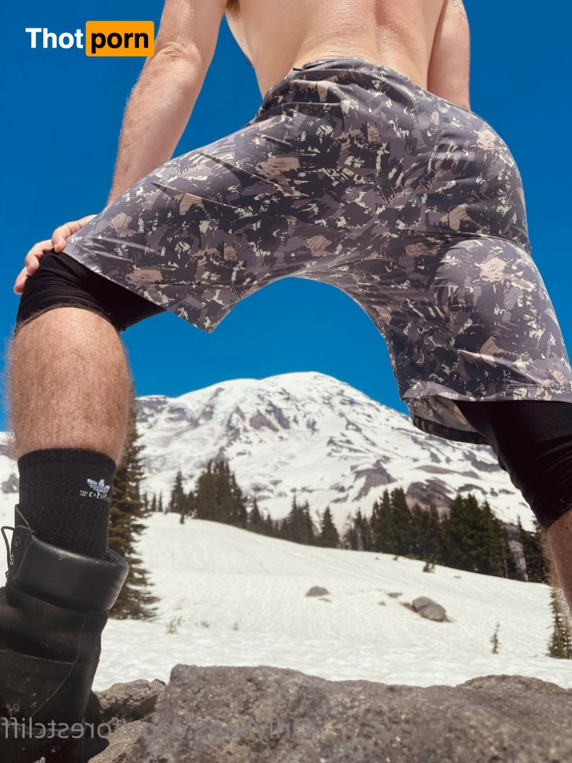 ForestCliff 13166406