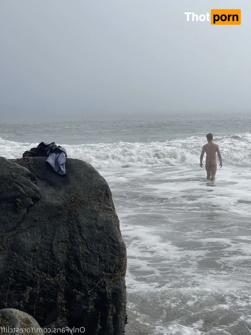 ForestCliff 13166582