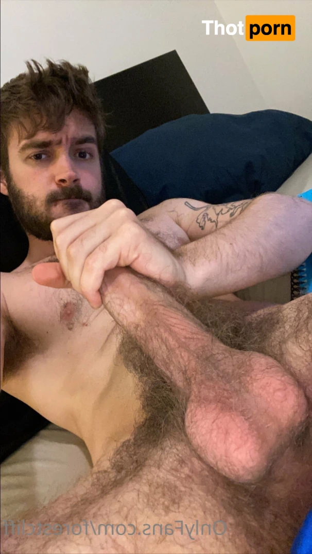 ForestCliff 13166994