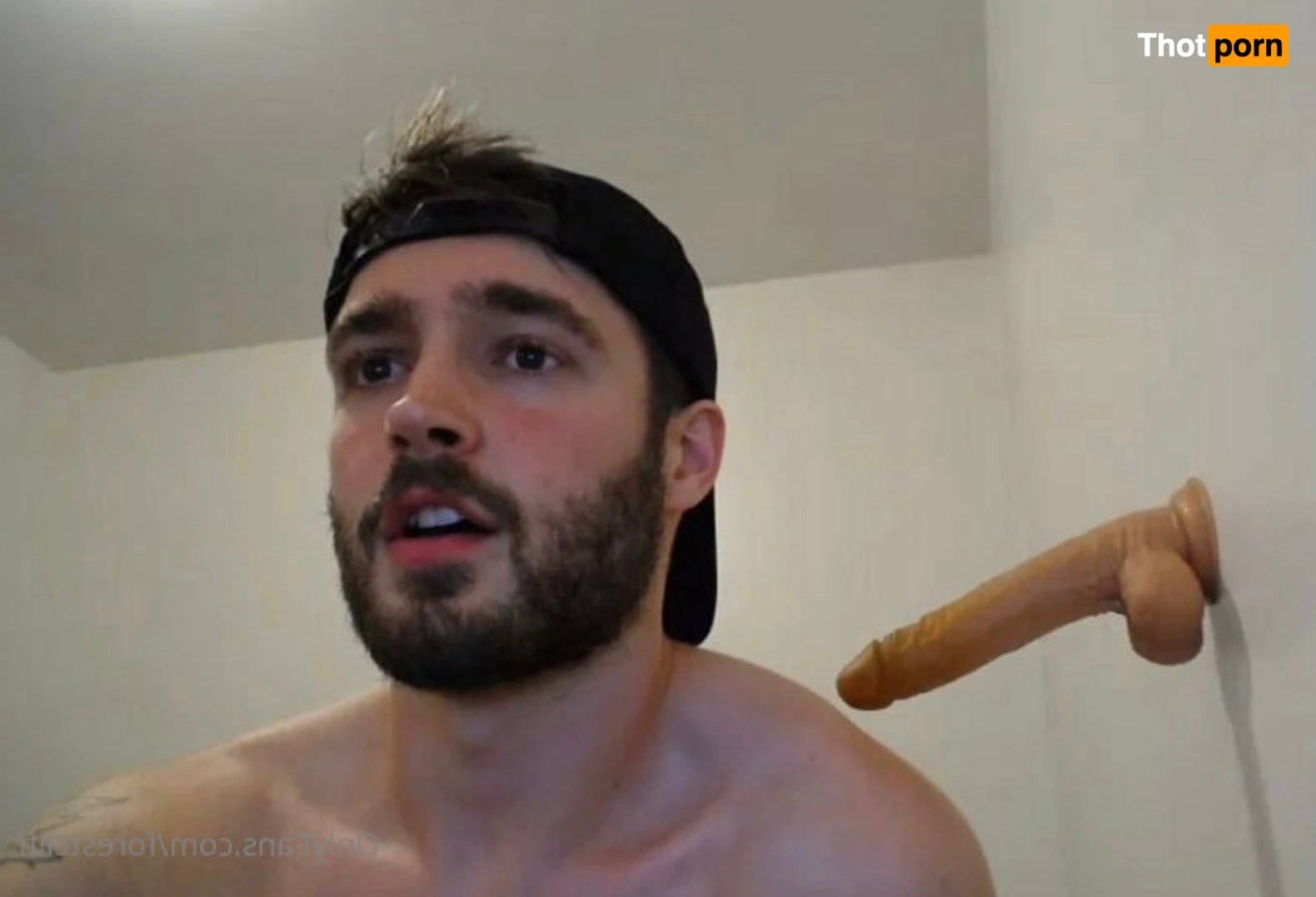 ForestCliff 13167054