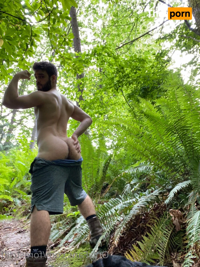 ForestCliff 13167358