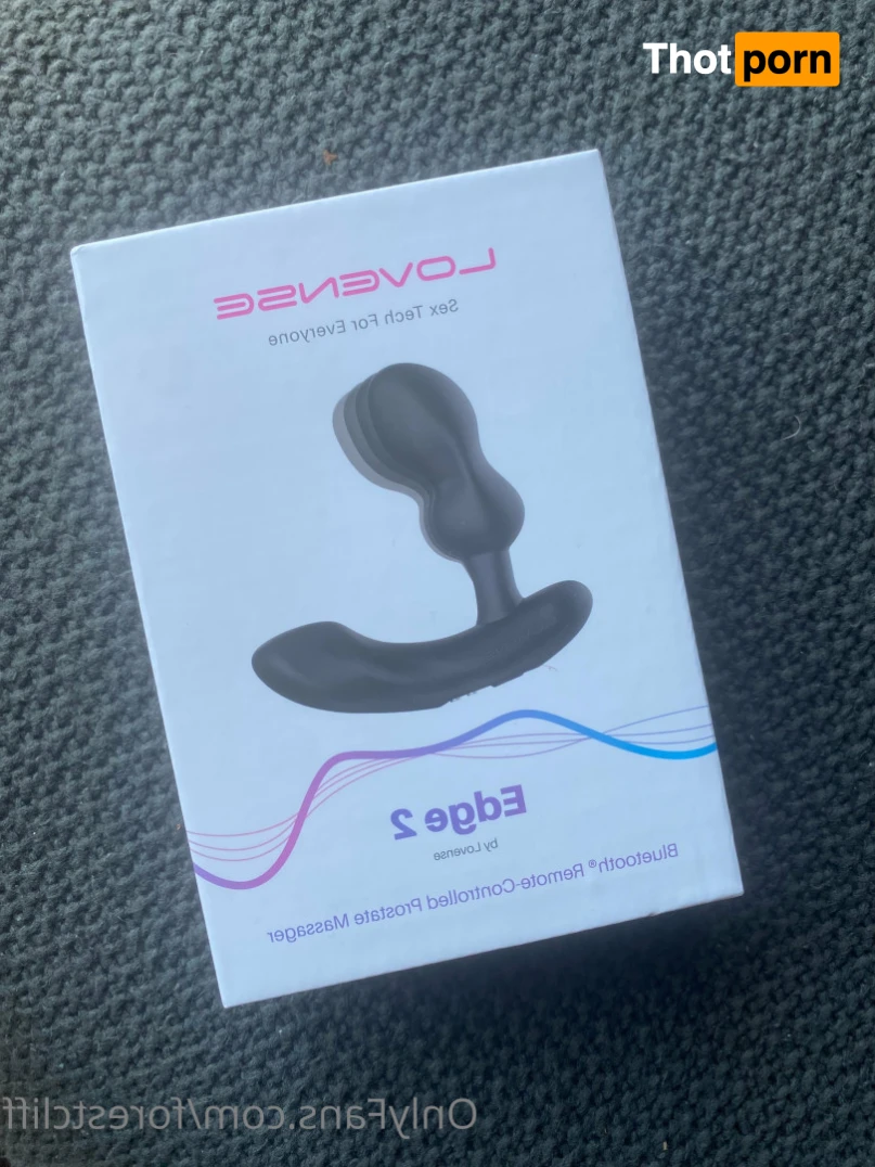 ForestCliff 13167532