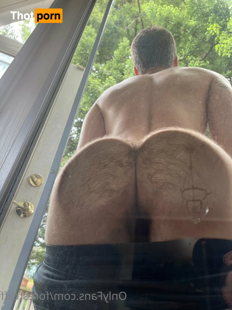 ForestCliff 13167889