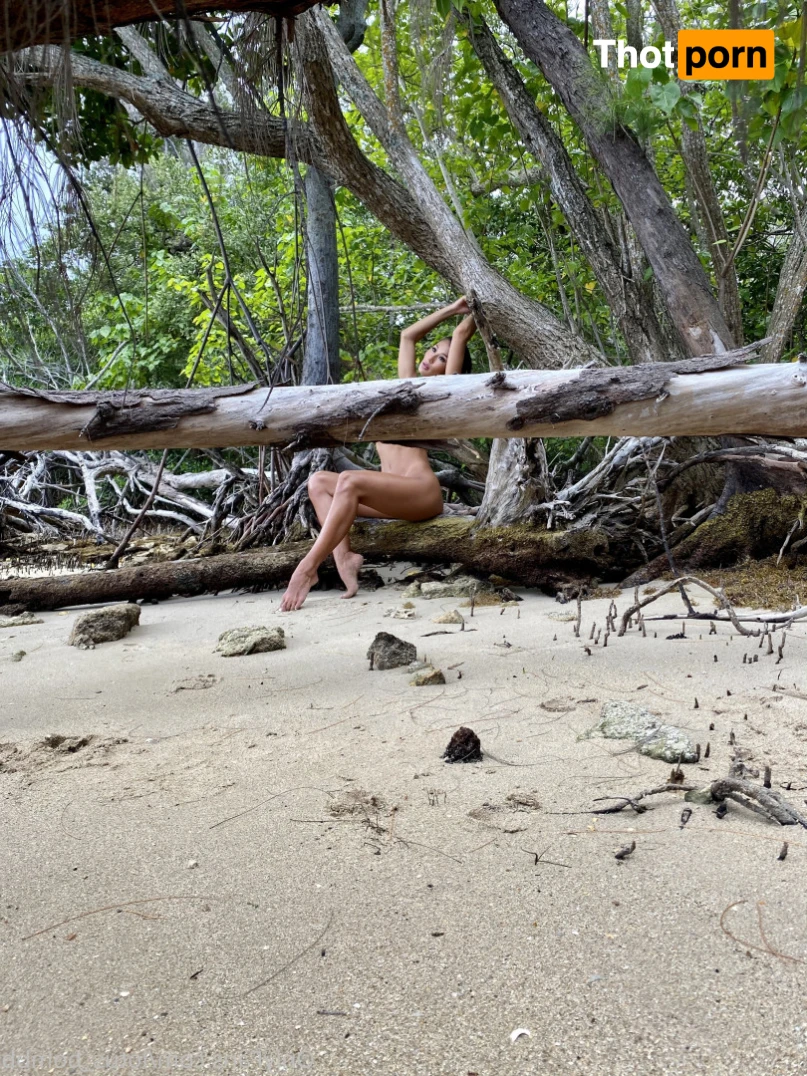 DJ💥LOTUS💣 15528913