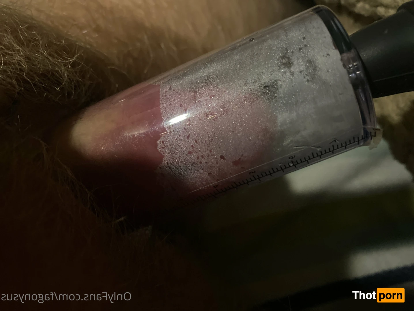 Transboy Brant 13927873