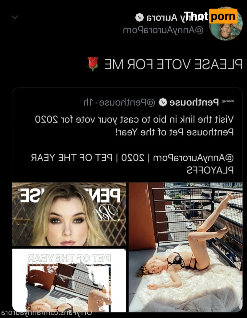 Anny Aurora 14055234