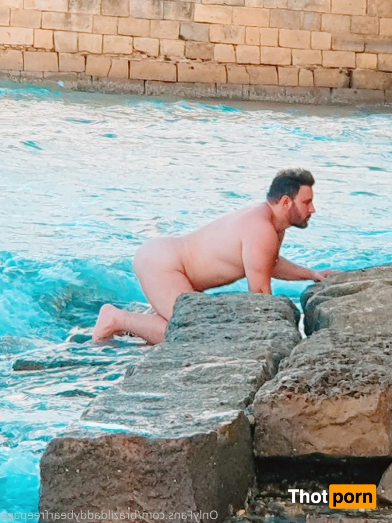 brazildaddybear 13253992