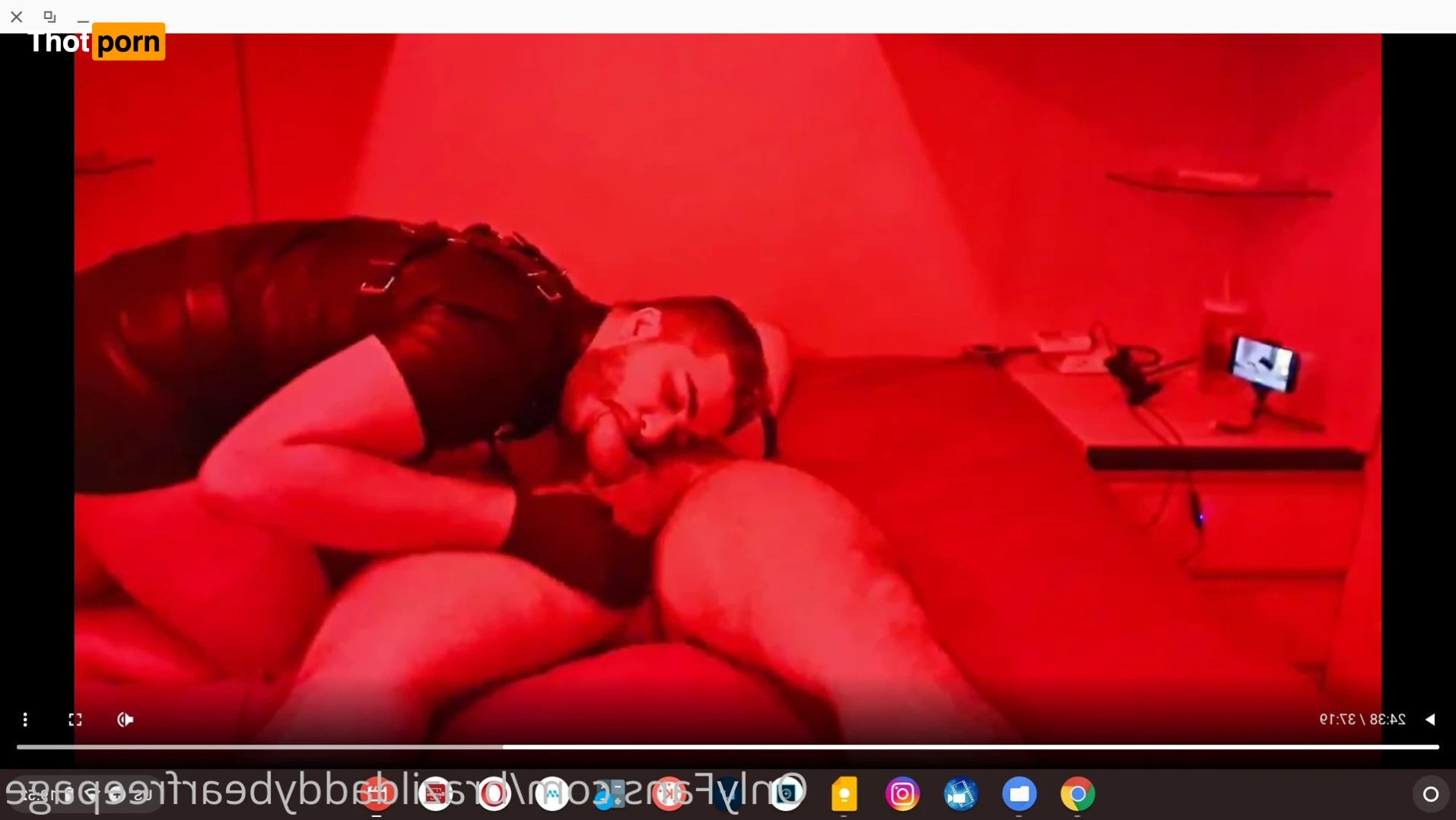 brazildaddybear 13254129