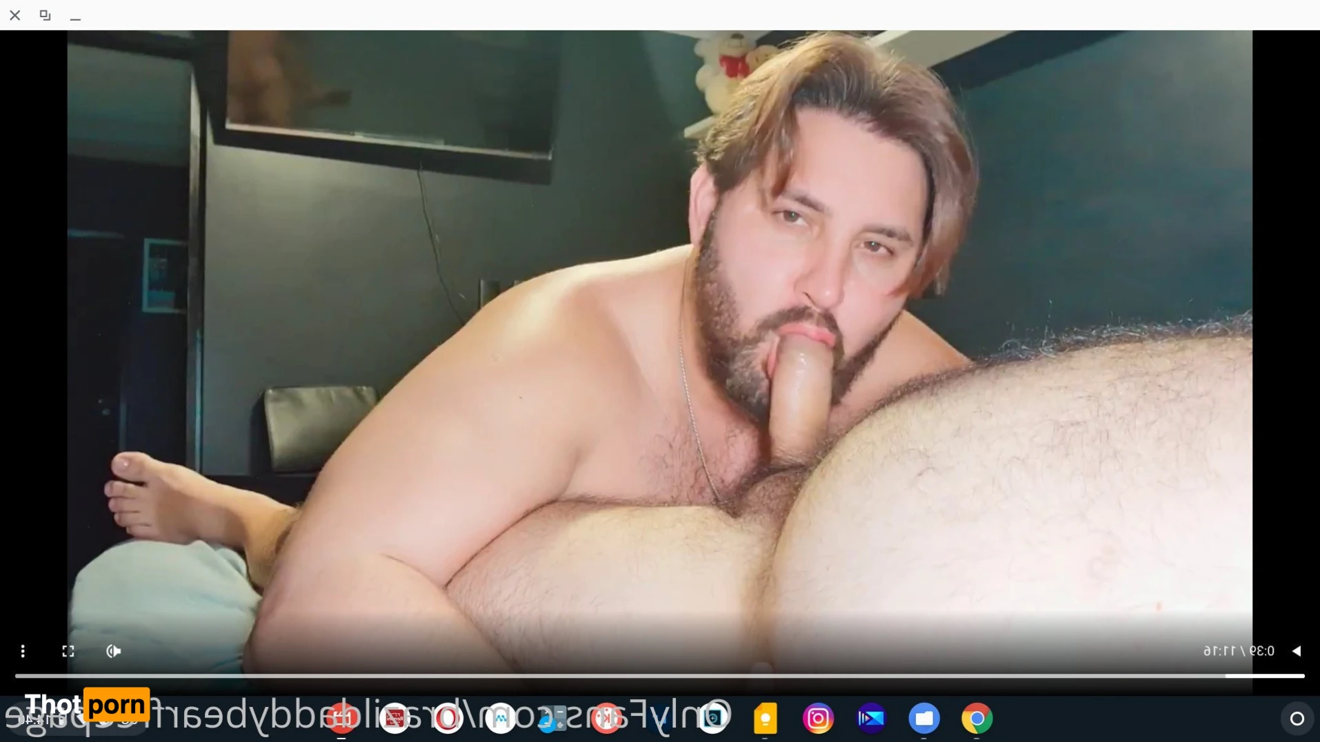 brazildaddybear 13254527