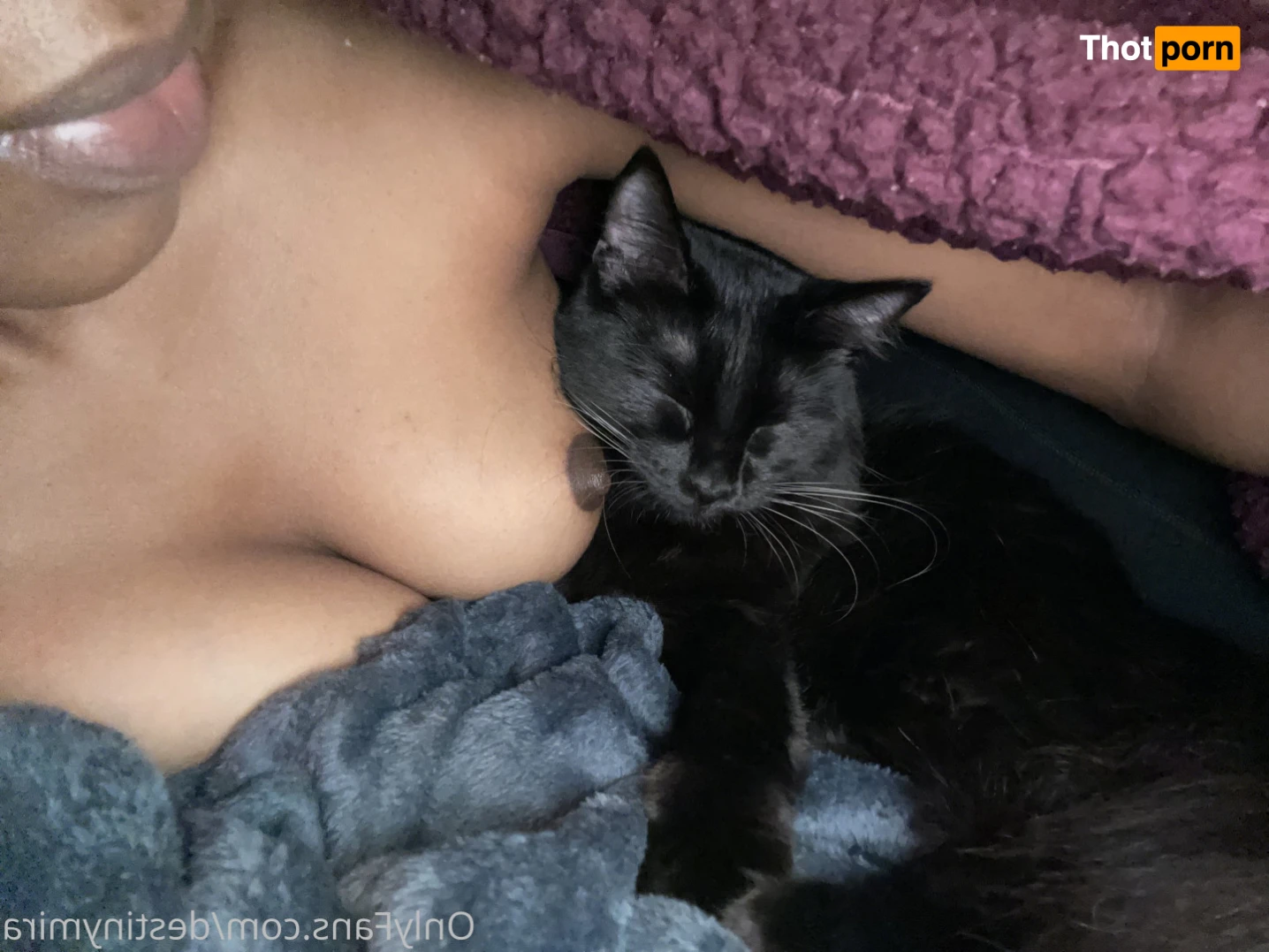 Destiny da Brat🧚🏾‍♀️ VIP 15373462