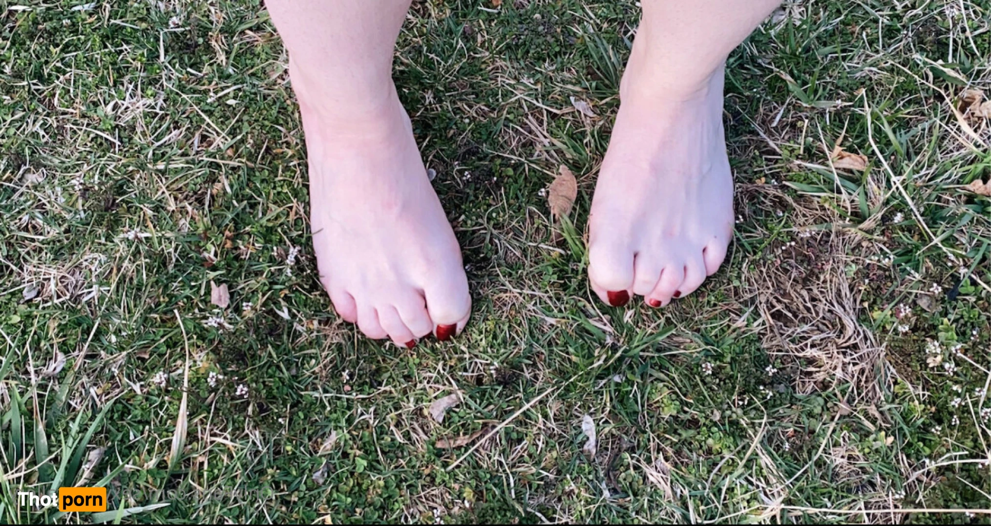 sexyfeetgallery 14537848