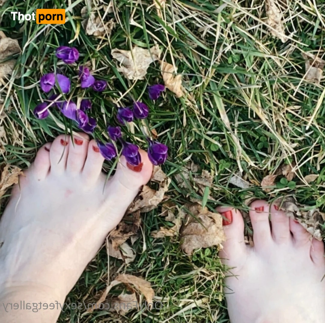 sexyfeetgallery 14584879