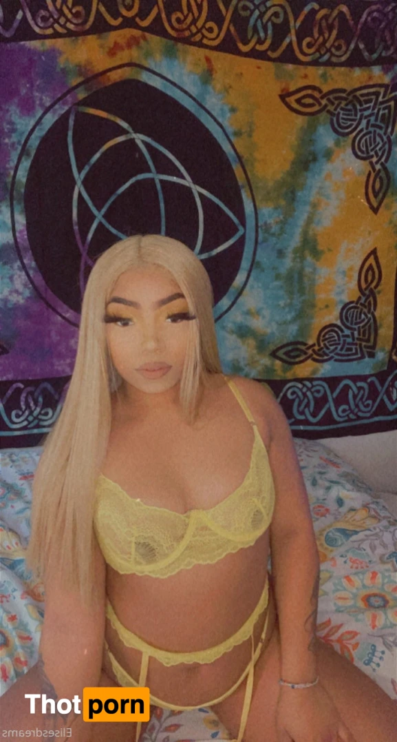 elisesdreams 14724489