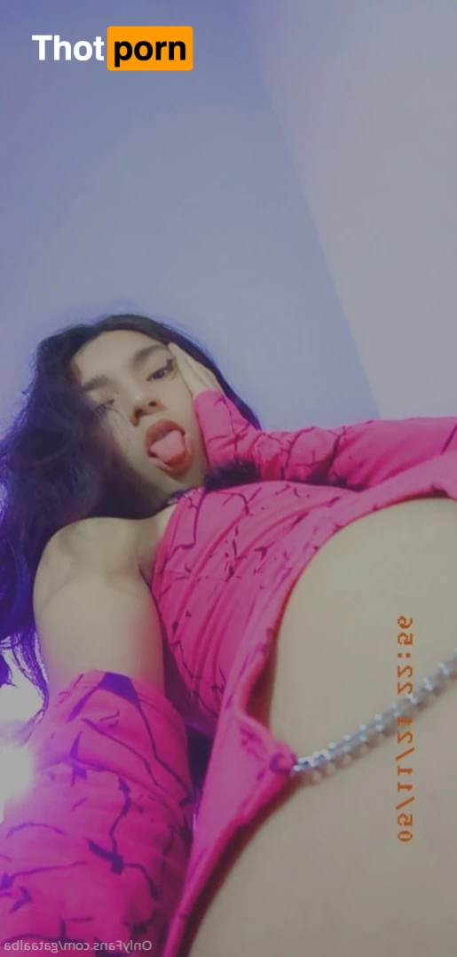 🎀 Gata Alba 🎀 12920121