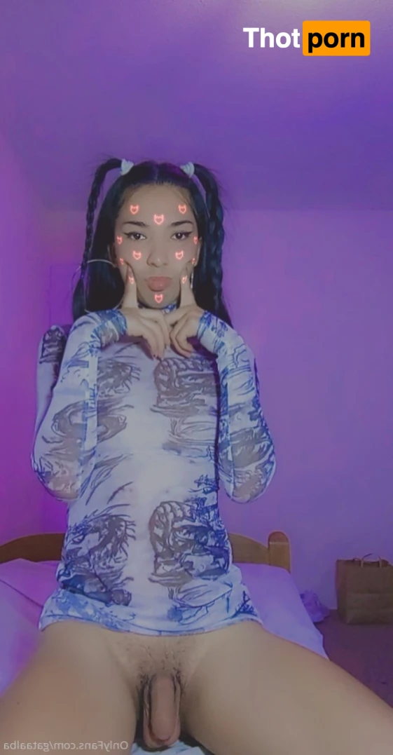 🎀 Gata Alba 🎀 12921221