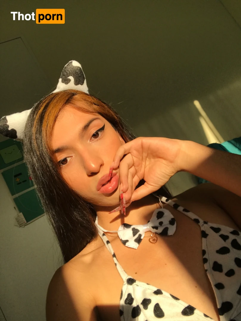 🎀 Gata Alba 🎀 12921548