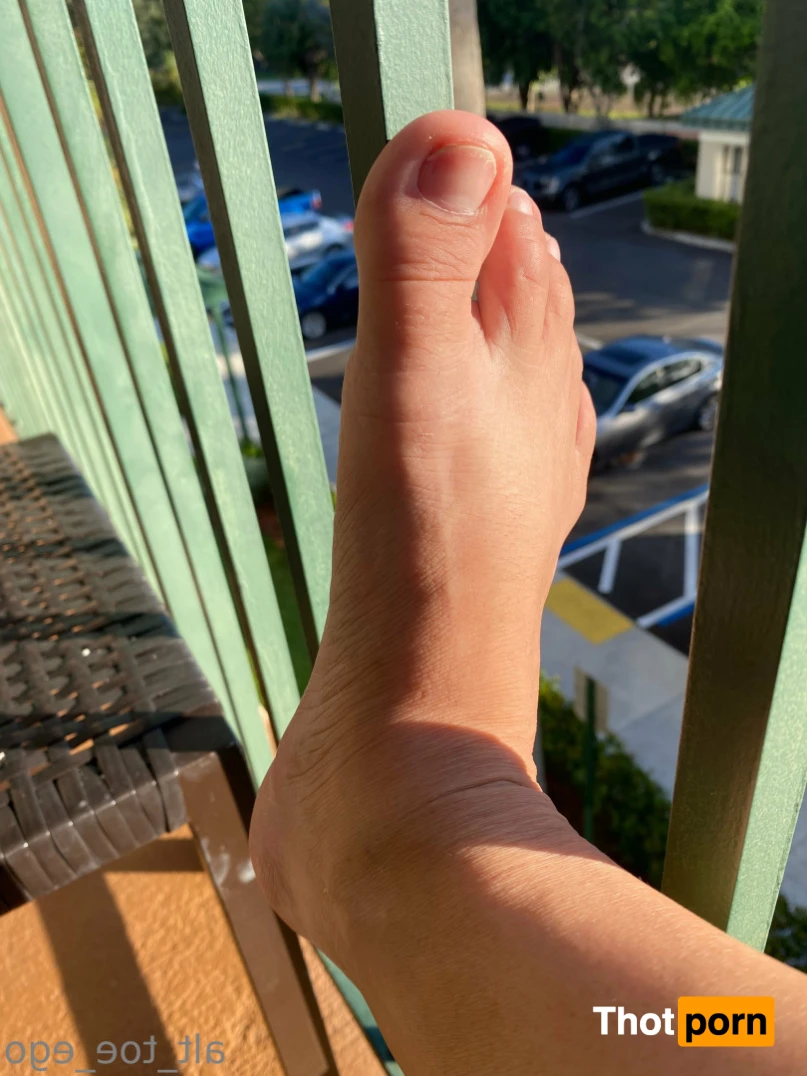 Daily Cup Of Toe 14550627