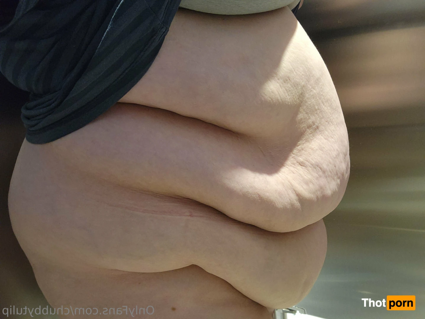 Chubby Tulip 15376250