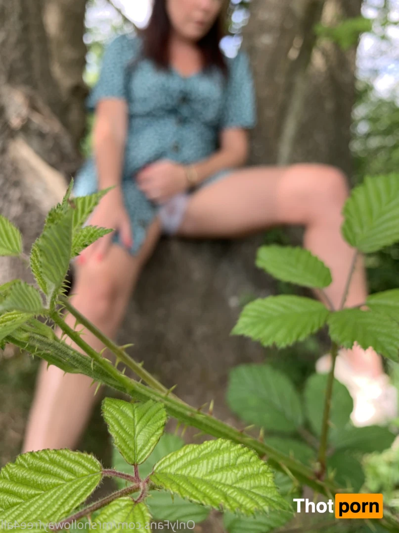 mrshollowayfree4all 14795785