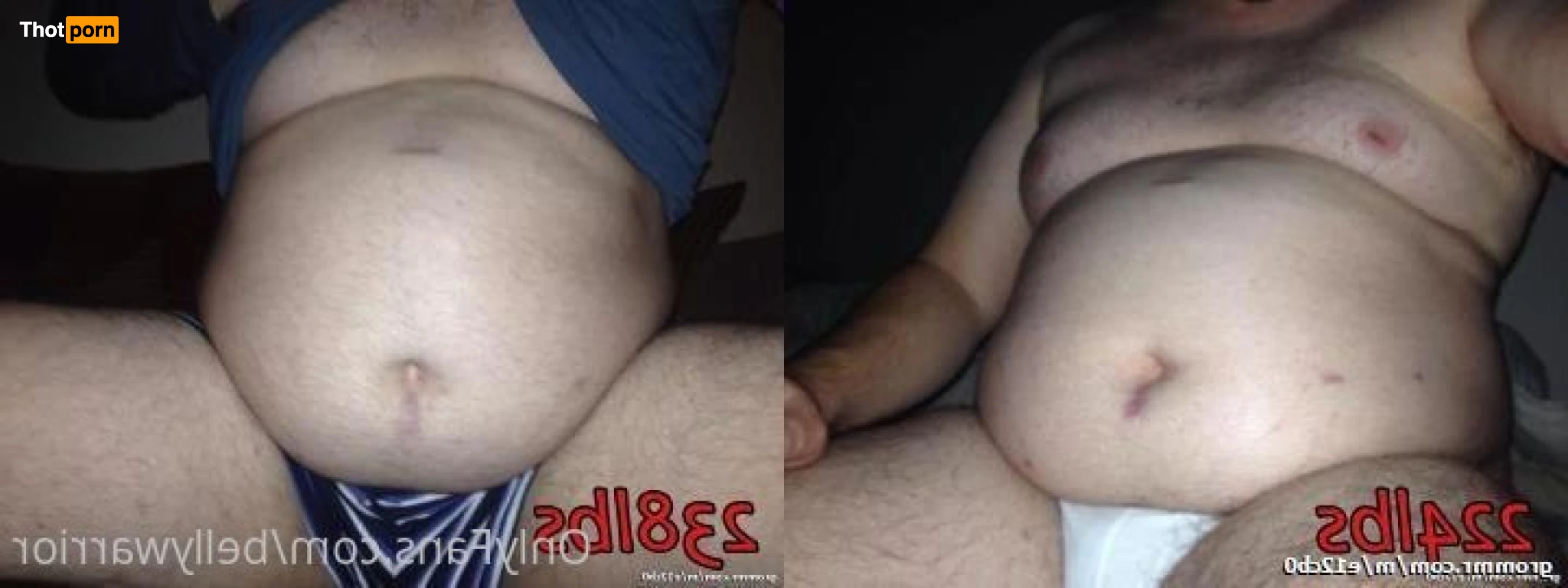 BellyWarrior 15645630