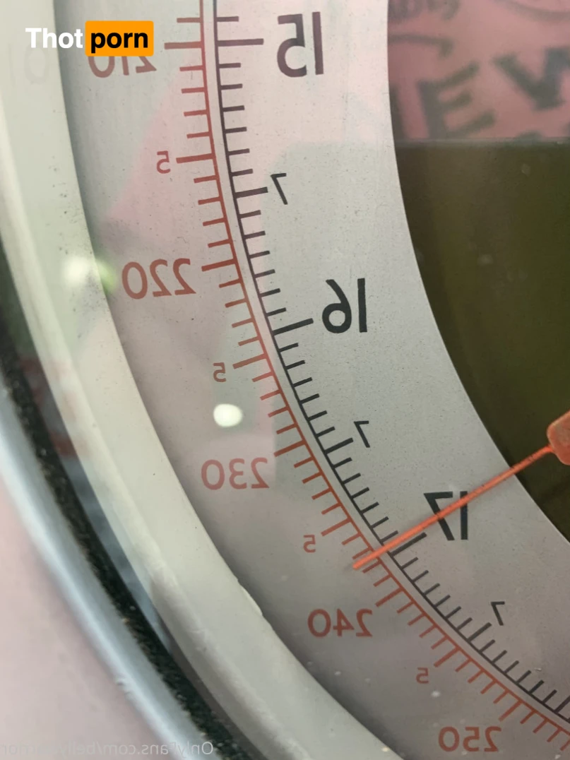 BellyWarrior 15665292