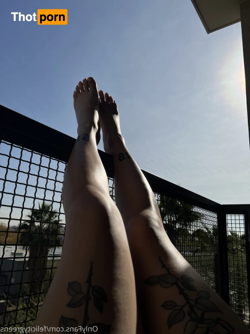 TS Felicity Fox 13777940