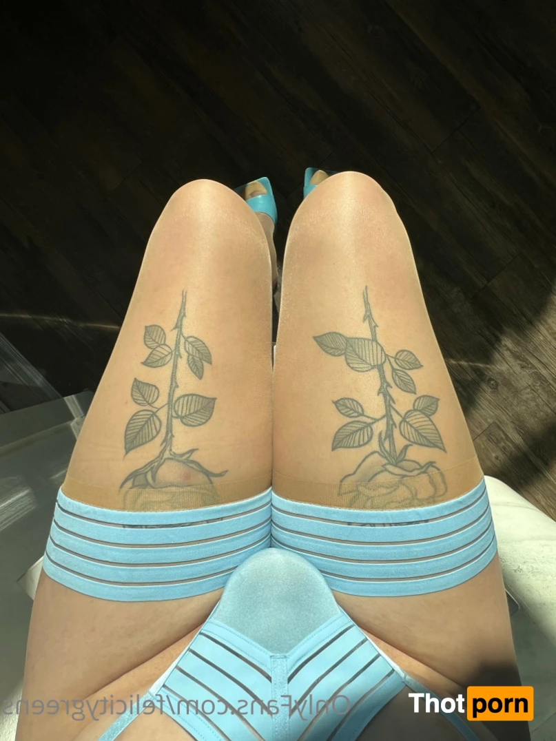 TS Felicity Fox 13778515